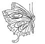 NLC Logo